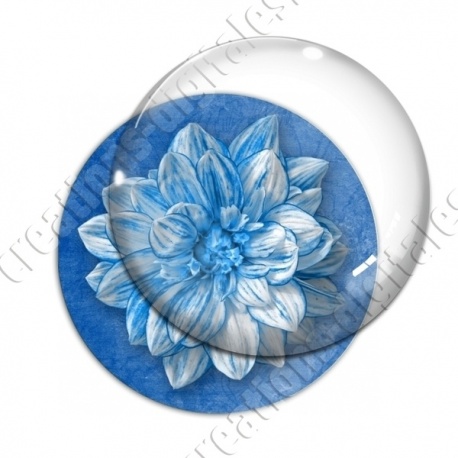 Image digitale - Fleur bicolore sur fond coloré