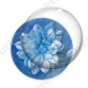 Image digitale - Fleur bicolore sur fond coloré