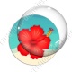Image digitale - Hibiscus 01
