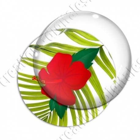 Image digitale - Hibiscus 03