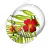 Image digitale - Hibiscus 04