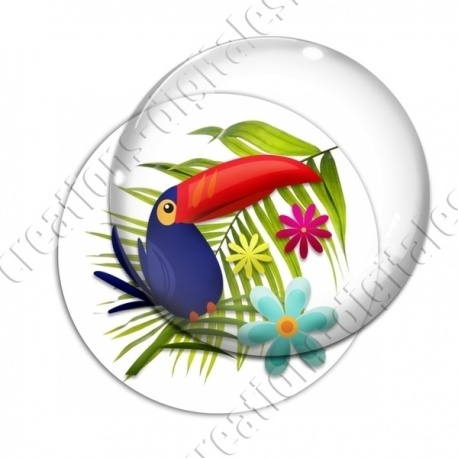 Image digitale - Toucan