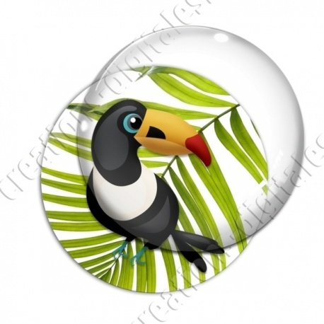 Image digitale - Toucan 02