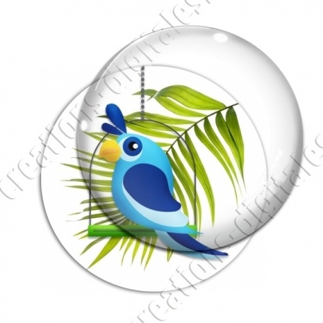 Image digitale - Oiseau des îles