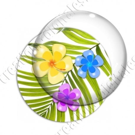 Image digitale - Hibiscus 05