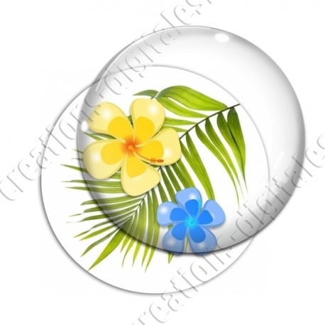 Image digitale - Hibiscus 06