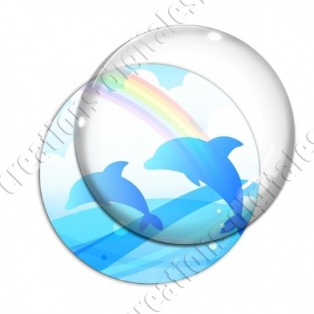 Image digitale - Dauphins