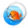 Image digitale - Poisson tropical 01