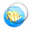 Image digitale - Poisson tropical 03