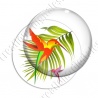 Image digitale - Colibris 02