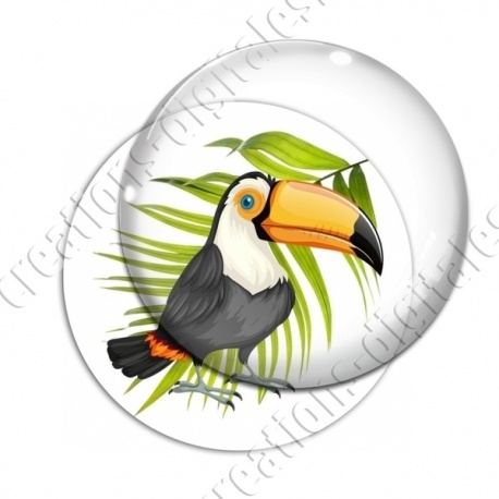 Image digitale - Toucan 03