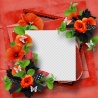 Quick Page Rouge coquelicot