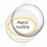 Image digitale - Merci maître - Etiquette ovale jaune - Fond lignes multicolores