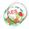 Image digitale - Tropical papillon - AES
