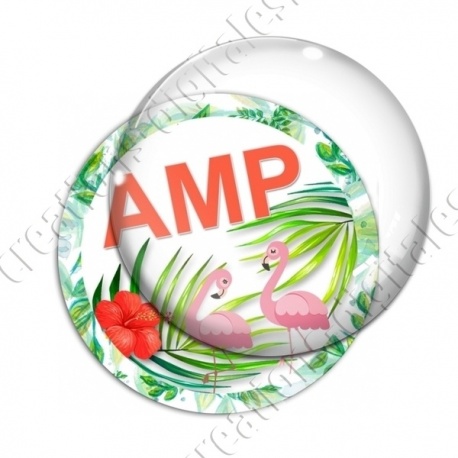 Image digitale - Tropical flamants- AMP