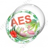 Image digitale - Tropical flamants- AES