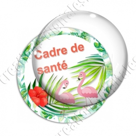 Image digitale - Tropical flamants- Cadre de santé