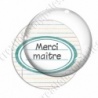 Image digitale - Merci maître - Etiquette ovale vert - Fond lignes multicolores