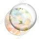 Image digitale - Fond fleurs blanches 01