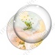 Image digitale - Fond fleurs blanches 01 zoom