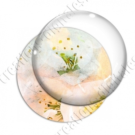 Image digitale - Fond fleurs blanches 01 zoom