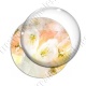 Image digitale - Fond fleurs blanches 02