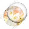 Image digitale - Fond fleurs blanches 02