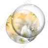 Image digitale - Fond fleurs blanches 03