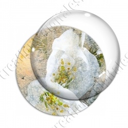 Image digitale - Fond fleurs blanches 02 zoom