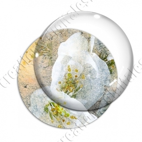 Image digitale - Fond fleurs blanches 02 zoom