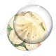 Image digitale - Fond fleurs blanches 03 zoom