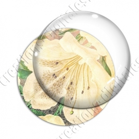Image digitale - Fond fleurs blanches 03 zoom
