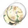 Image digitale - Fond fleurs blanches 04