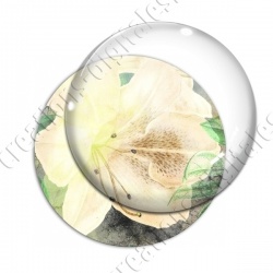 Image digitale - Fond fleurs blanches 04 zoom