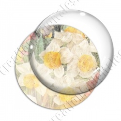 Image digitale - Fond fleurs blanches 05