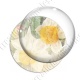 Image digitale - Fond fleurs blanches 05 zoom