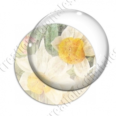 Image digitale - Fond fleurs blanches 05 zoom