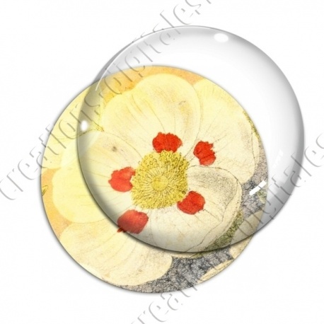 Image digitale - Fond fleurs blanches 06 zoom