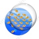 Image digitale - Poissons