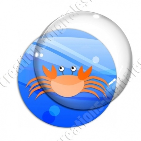 Image digitale - Crabe