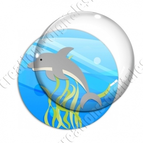 Image digitale - Dauphin