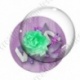 Image digitale - Montage fleur verte et libellule
