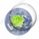 Image digitale - Montage fleur vert flashy et libellule