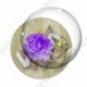 Image digitale - Montage fleur violette et libellule