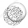 Image digitale - Notes de musique T1