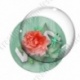 Image digitale - Montage fleur rouge et libellule