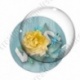 Image digitale - Montage fleur jaune et libellule