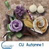 CU Automne 01