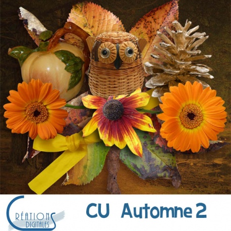 CU Automne 02