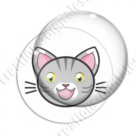 Image digitale - Chat tigré yeux ouverts et fond blanc